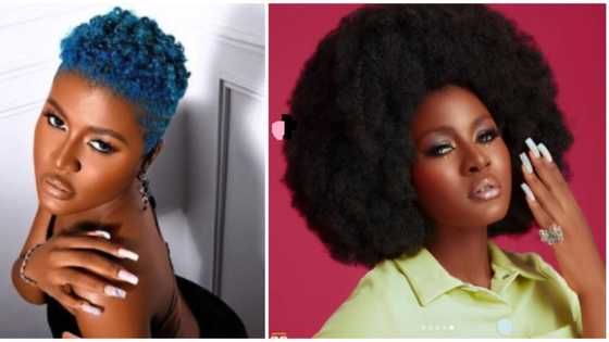 26 and fabulous: BBNaija star Alex transforms into Afro Barbie for her birthday