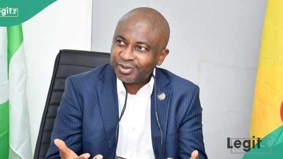 Japa: ‘Nigerians can become global citizens through Grenada in 6 months’, Caribbean country’s envoy