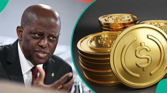 CBN confirms moves by FG to adopt cryptocurrency, forms team to study stablecoin