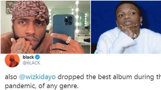Wizkid dropped the best album during this pandemic: American singer 6lack says