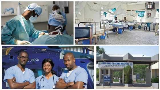 Kano: Likitoci a jihar Kano na cike da firgici da tsoro