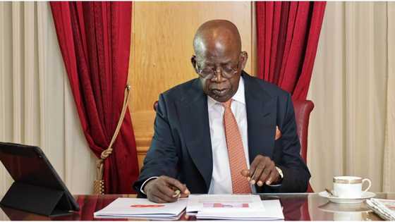 Why Tinubu will be sworn in on May 29 despite court cases, top Nigerian lawyer explains