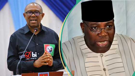 Okupe spits fire, predicts more defections from LP, uncovers what Peter Obi may do next