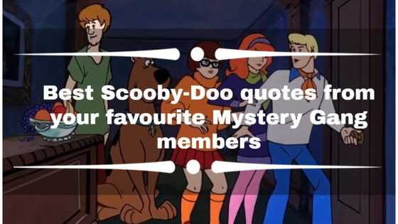 Best Scooby-Doo quotes from your favourite Mystery Gang members