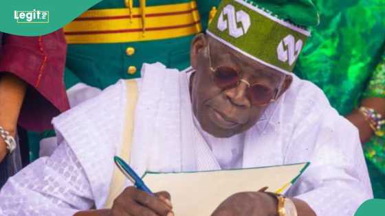 Details emerge as FG reportedly begins recruitment into Northwest, Southeast devt commissions