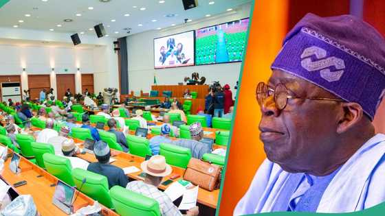 BREAKING: Reps reject Tinubu's CFR national honour for Speaker, issue fresh demands