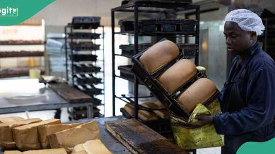 Nigerian bakers set date for nationwide strike, explains decision