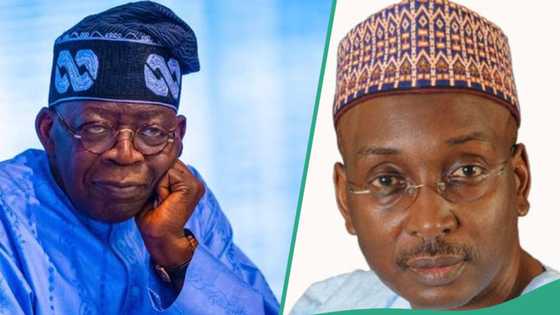 "Da wahala", Jigon APC ya gaji da kame kamen Tinubu wajen gyara Najeriya kamar Lagos