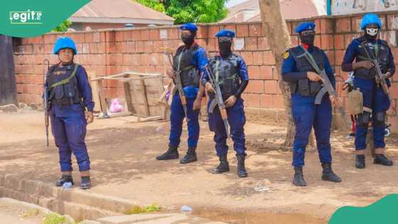 NSCDC a Kano ta damke masu addabar al'ummar jihar da sace-sace