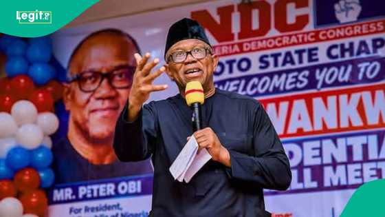 "Ba kamar Buhari ba"; Peter Obi ya yi maganar yakar cin hanci a Najeriya