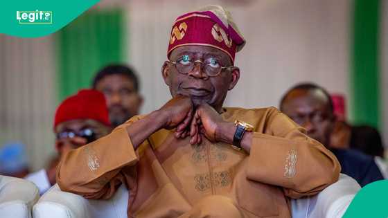 Nigeria’s government debt, others highest in Africa as World Bank releases new list
