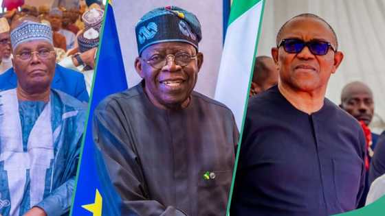 Why it was difficult for Peter Obi, Atiku to defeat Tinubu in courts, Kperogi shares