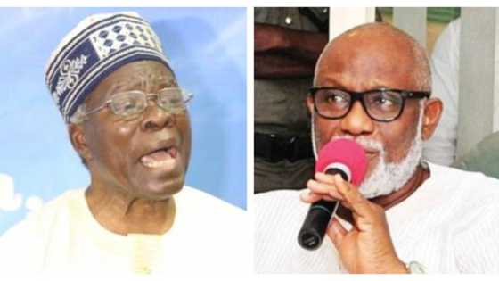 You've surrendered Ondo farmlands to herdsmen - Akintoye slams Akeredolu