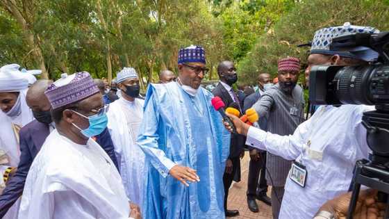 Da Ɗumi-Ɗumi: Na sha baƙar wahala, na ƙagara mulkina ya kare na koma Daura, Buhari ya koka