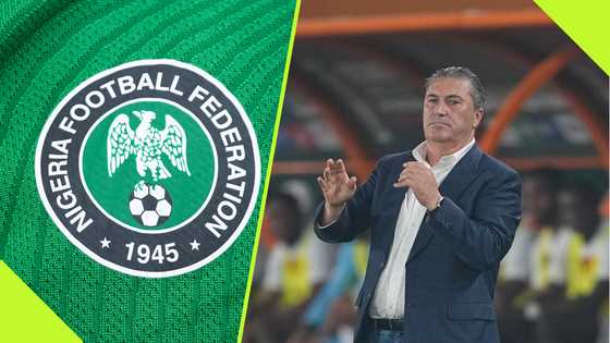 Peseiro advises NFF on who to consider appointing as Super Eagles coach