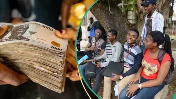 Yobe students celebrate 3-month NELFUND upkeep in viral video: "Joy wan wound me"