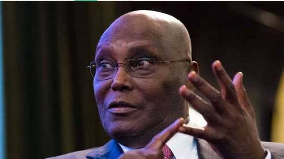 Atiku Abubakar makes 3 demands from Biden, Kamala Harris on Nigeria