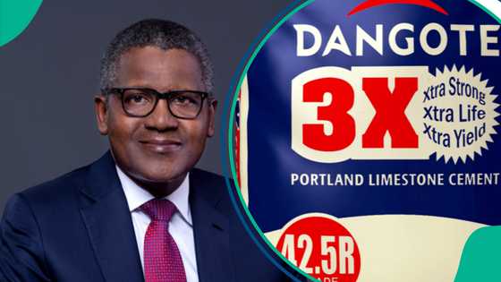 Dangote Cement’s net income quadruples to N309 billion, surpasses market expectations