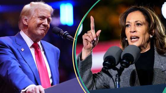 Trump vs Kamala Harris: Can Nigerians in the US vote?