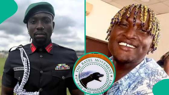 VeryDarkMan's sanitation plan sparks drama as Seaking taunts him and his Ratel movement in video