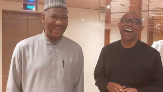 2023 election: “Our followers are organic, we don’t rent crowd like others”, says Peter Obi’s running mate