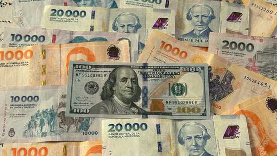 Argentina's central bank intervenes to halt run on peso