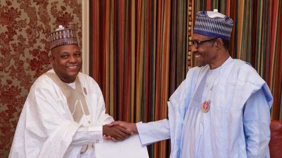 2023: These are people who will decide which zone Buhari's successor will come from - APC chieftain reveals