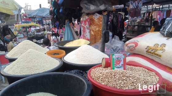 World Bank gives $12 billion food grant to Nigeria, others in fight against hunger
