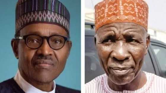 Almundahanan Akanta Janar N80bn: Duk laifin Buhari ne, Buba Galadima