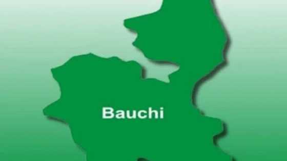 Kotu Ta Yanke Wa Matasa 3 Hukuncin Ɗaurin Shekaru 17 Saboda Satar N60,000 a Bauchi