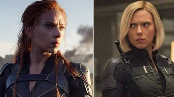 Scarlett Johansson is suing Disney over the release of Black Widow