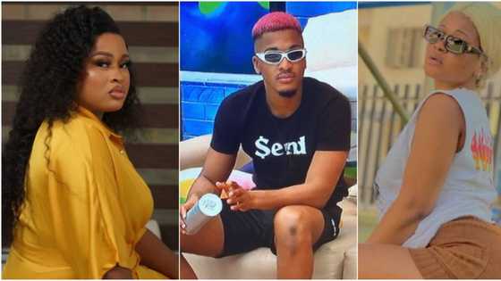 "She was supposed to talk to him on my behalf": BBNaija's Amaka speaks on Phyna taking Groovy from her