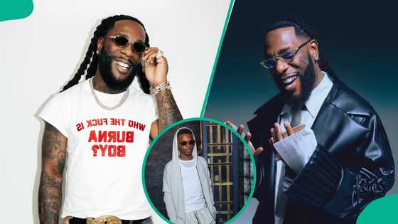 Burna Boy takes action against X user for defamation, shares action with ultimatum : "Just go hide"