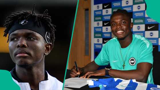 Kaduna academy graduate completes life-changing Premier League move to Brighton