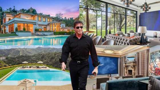 Rambo star Sylvester Stallone selling LA mansion for over N35 billion