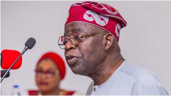 PDP, Dino Melaye: NDLEA opens up on Tinubu’s alleged drug case in US, tells court real truth