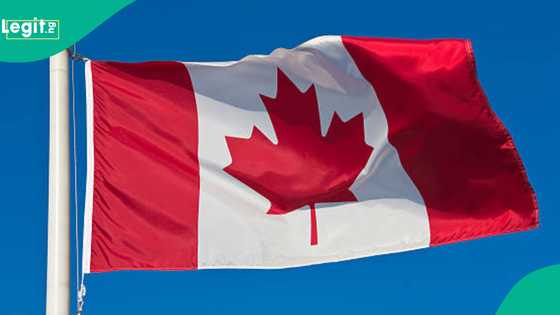 Canada explains who qualifies for asylum in country, requirements for Nigerians, others