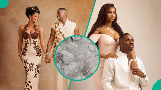 JP 2025: Sneak peek of Priscilla Ojo's white wedding gown leaks online, "E be like Veekee Work"