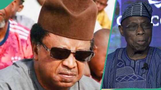 Sanata Shehu Sani ya bayyana yadda suka sha azaba tare da Obasanjo a gidan yari