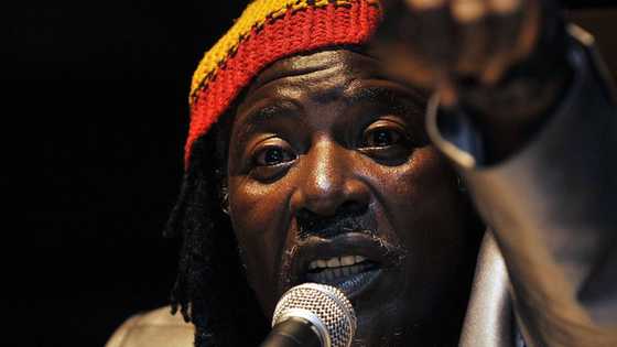 Biographie d’Alpha Blondy: âge, fortune, albums, carrière