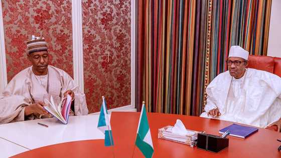 President Buhari meets Governor Zulum over insecurity in Borno