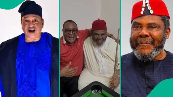 Jide Kosoko, Pete Edochie reunite after 12 years, exchange pleasantries in Igbo, Yoruba in video