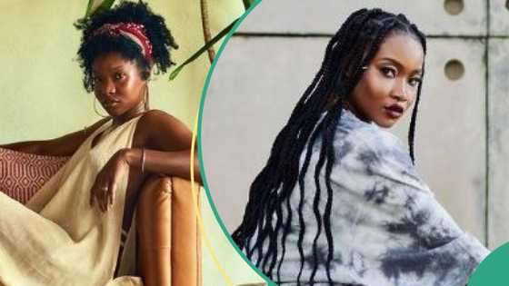 Ilebaye fights back tears, reveals the cowries she took on All Stars show were for her late brother