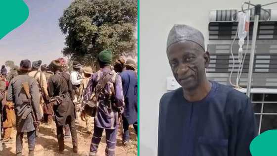 Dattawan Katsina sun shiga maganar sakin 'yan bindiga 70, sun zafafa kalamai