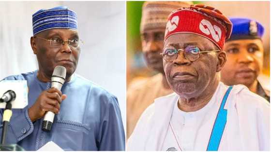 SPV Saga: After APC’s failed attempt, Atiku makes 1 strong demand from Tinubu ahead of presidential election