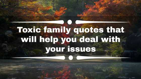 100+ toxic family quotes that will help you deal with your issues