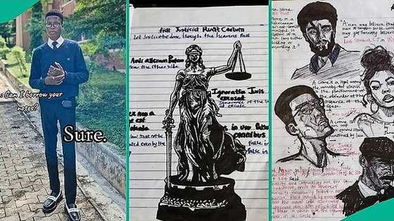 Photos of law student's notebook leave everyone baffled as netizens spot his artistic diagrams