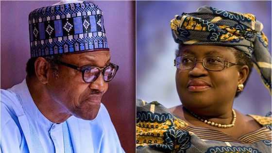 Zaben WTO: Ka taimaka ka yi min kamfen a wurin shugabannin duniya - NOI ta roki Buhari