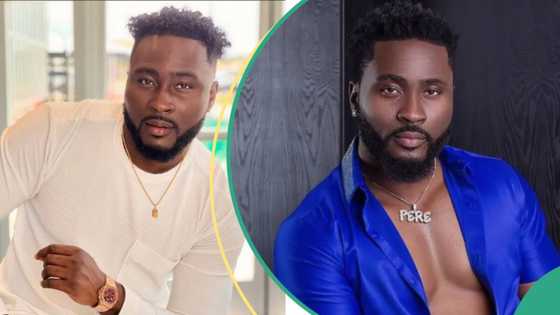 BBNaija All Stars Pere becomes the 5th housemate to leave the reality TV show: "Most predicated"