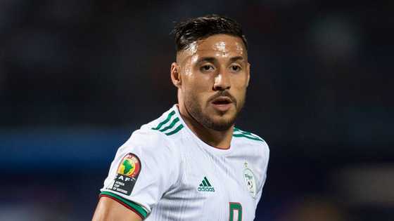 Biographie de Youcef Belaïli : âge, équipes, palmarès, photos